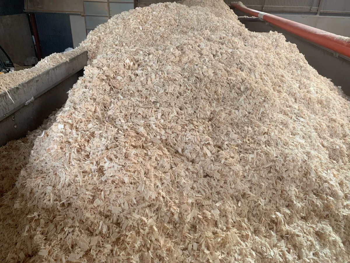 Bulk Walking Floor Loads of Shavings Delivered - Image 2