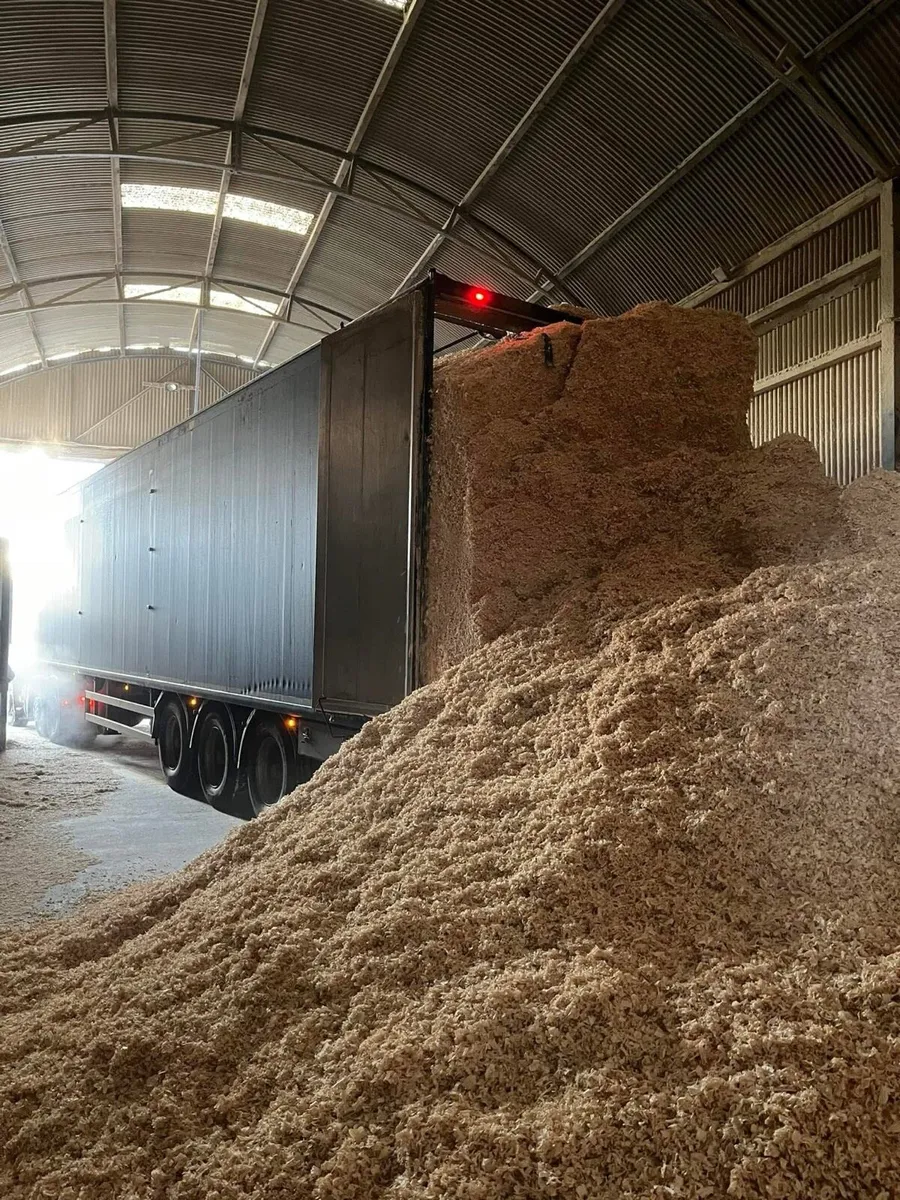 Bulk Walking Floor Loads of Shavings Delivered - Image 4