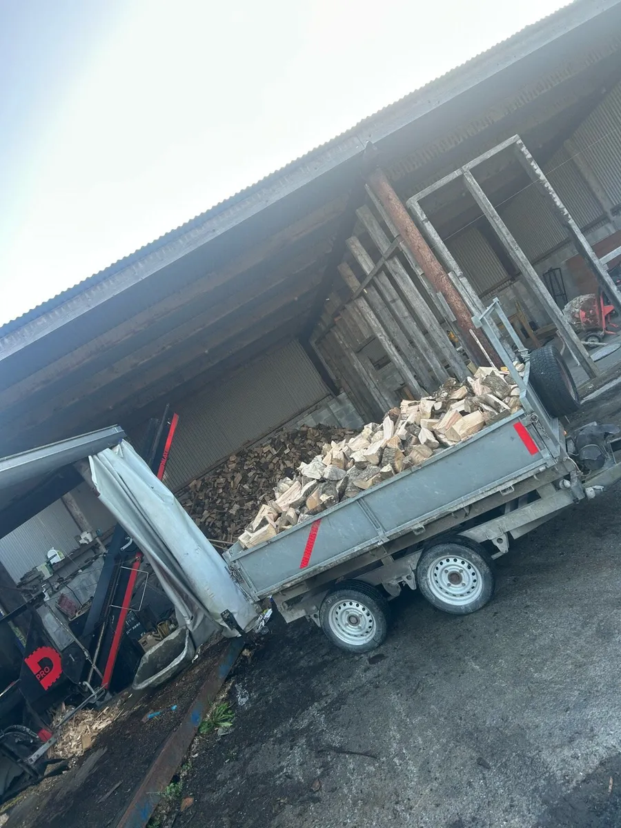 Seasoned Firewood - Image 2