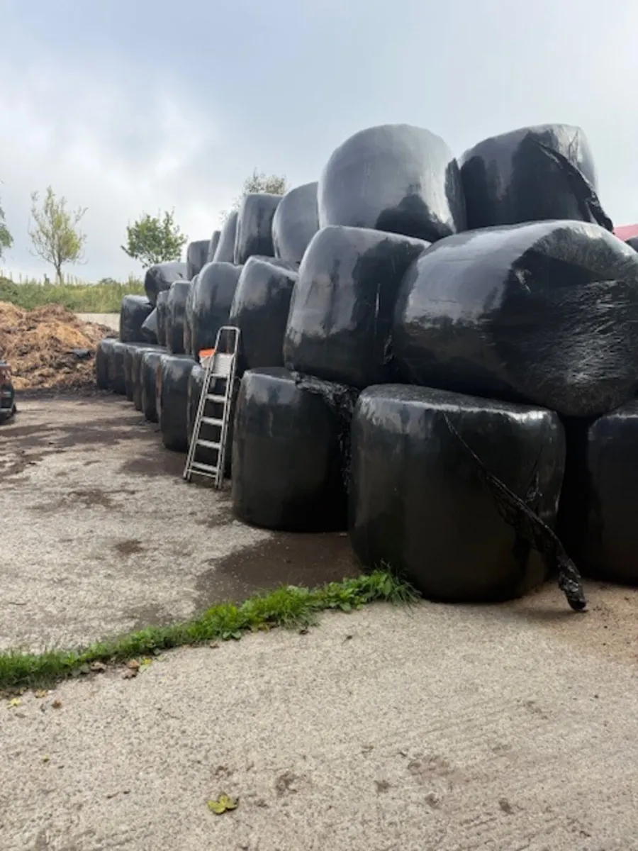 Organic arable silage bales - Image 1