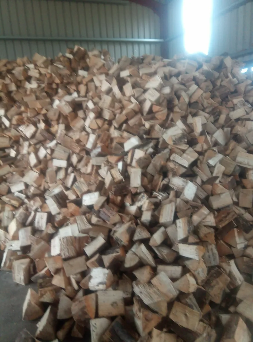 Firewood - Image 1