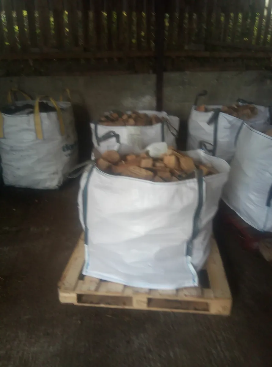 Firewood - Image 3