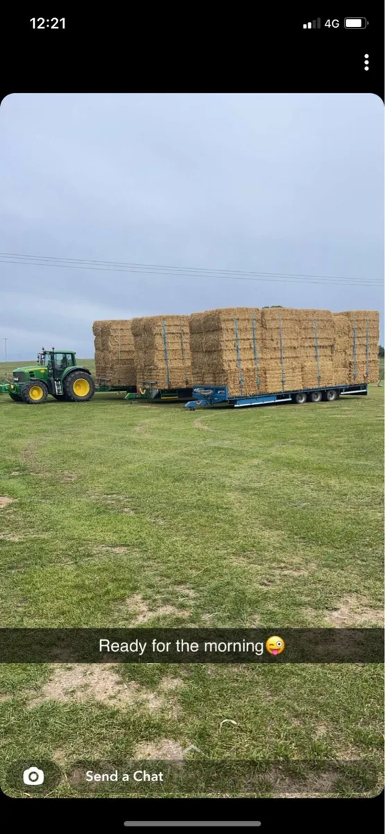 Straw for sale - Image 3