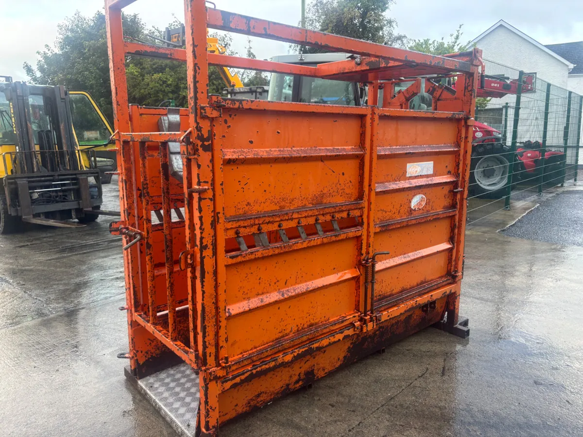 Richie Cattle Crush choice - Image 4