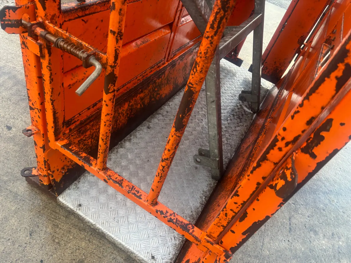 Richie Cattle Crush choice - Image 3