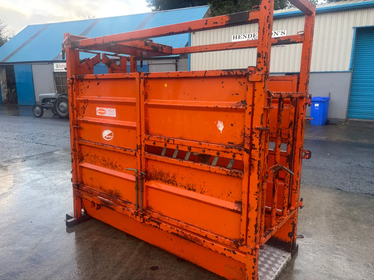 Richie Cattle Crush choice - Image 2