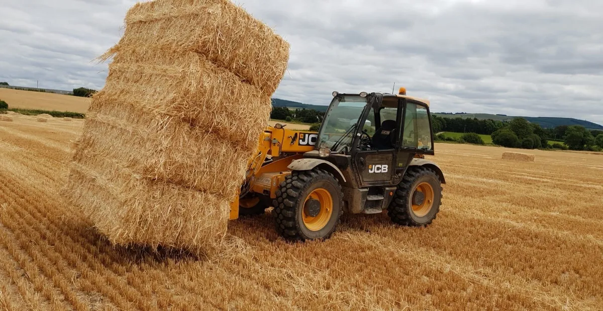 Hay and straw - Image 3