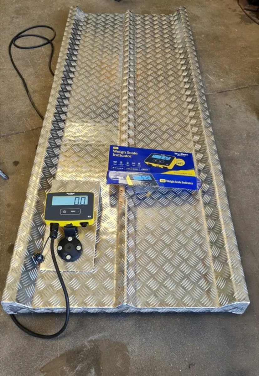 Calf transport scales. Cattle scale - Image 2