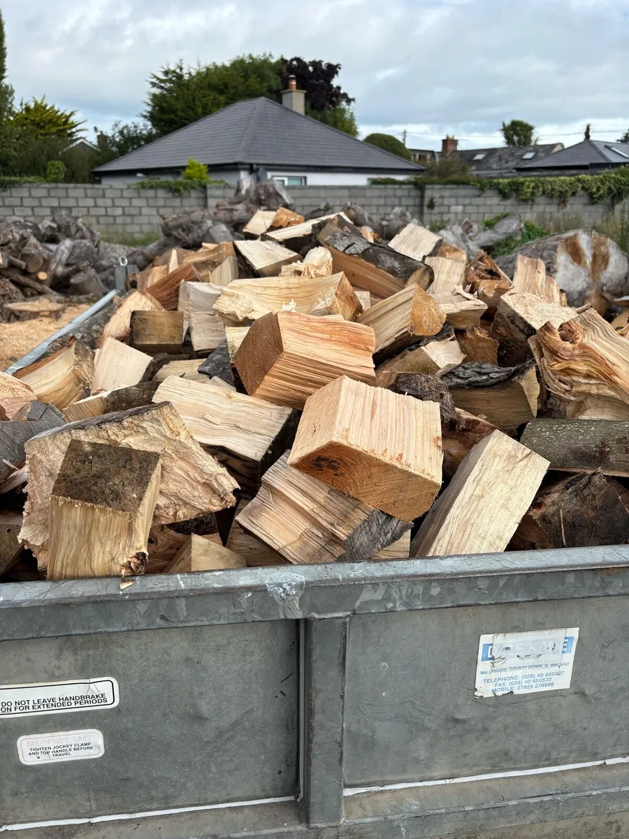 Firewood - Image 1