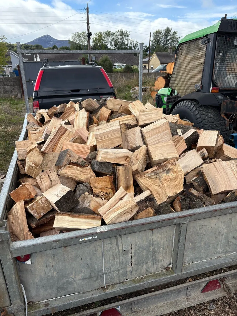 Firewood - Image 3