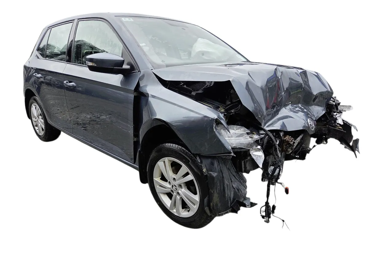 2019 SKODA FABIA For Breaking/Dismantling - Image 1