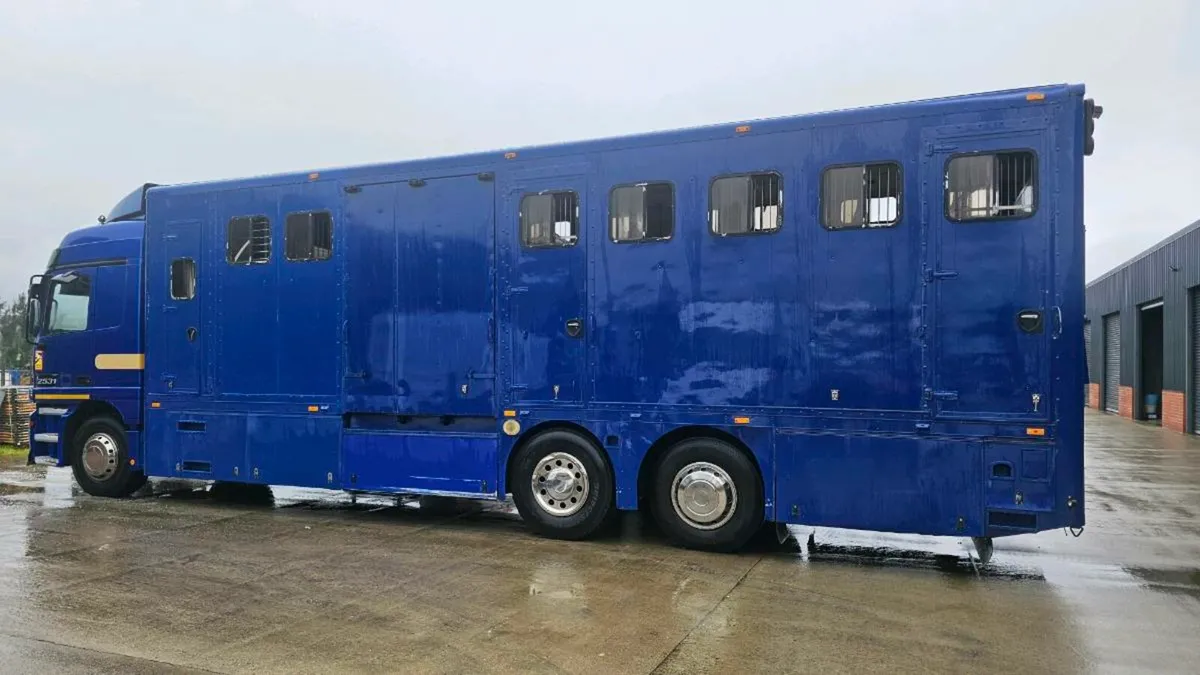 MERCEDES  ACTROS HORSEBOX - Image 4