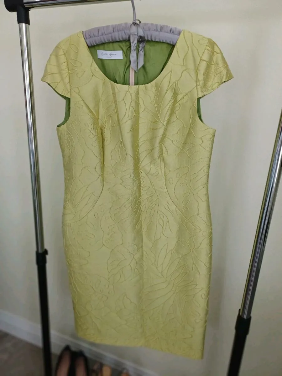 Occasion Wear : 2 piece dress and Jacket - Image 3