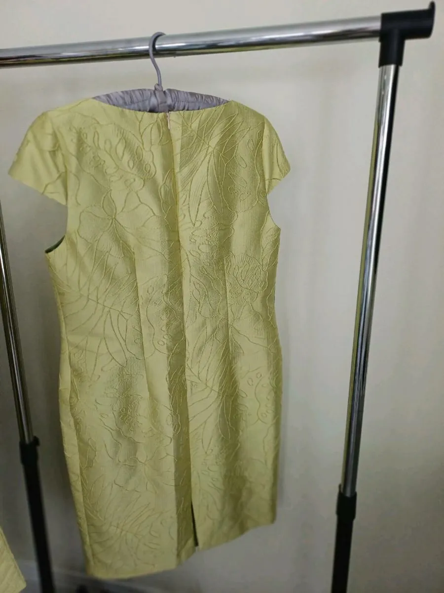 Occasion Wear : 2 piece dress and Jacket - Image 4