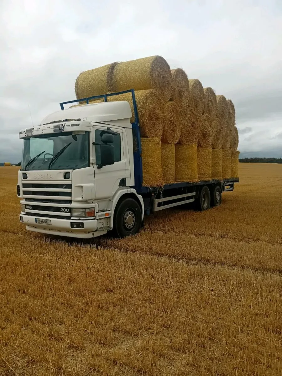 GOLDEN STRAW & GREEN HAY - Image 1