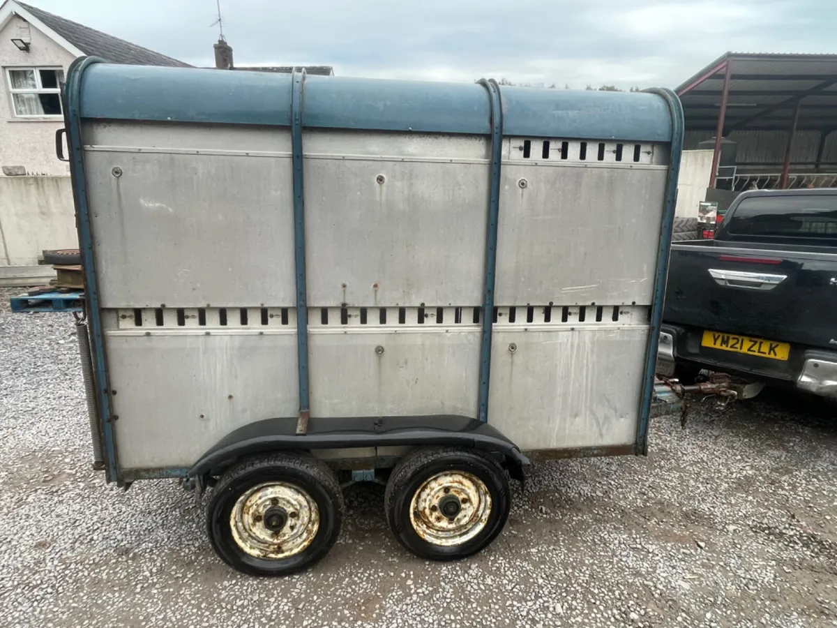 Ifor Williams 8ft x 5ft cattle trailer - Image 1