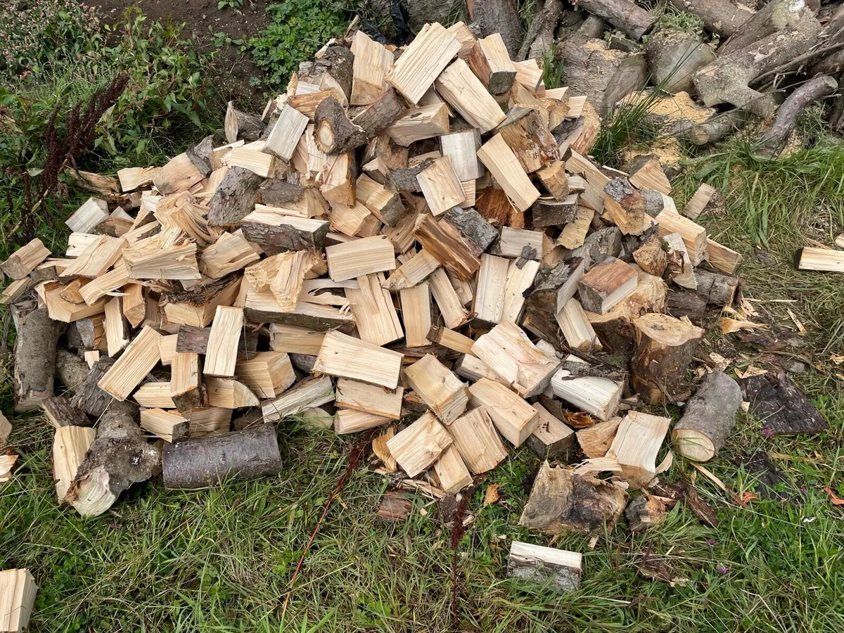 Firewood - Image 2