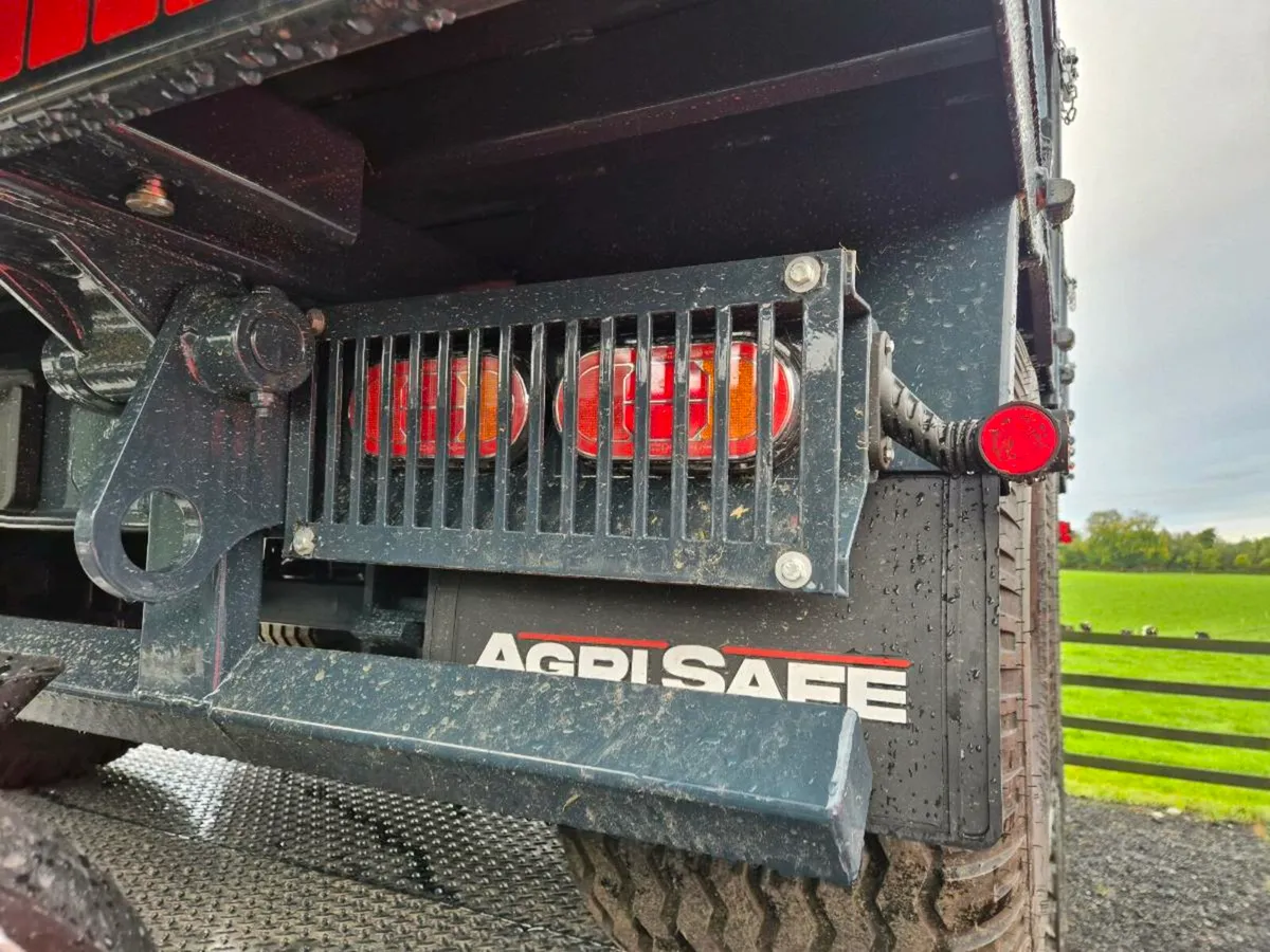 Tipping trailer - Image 3