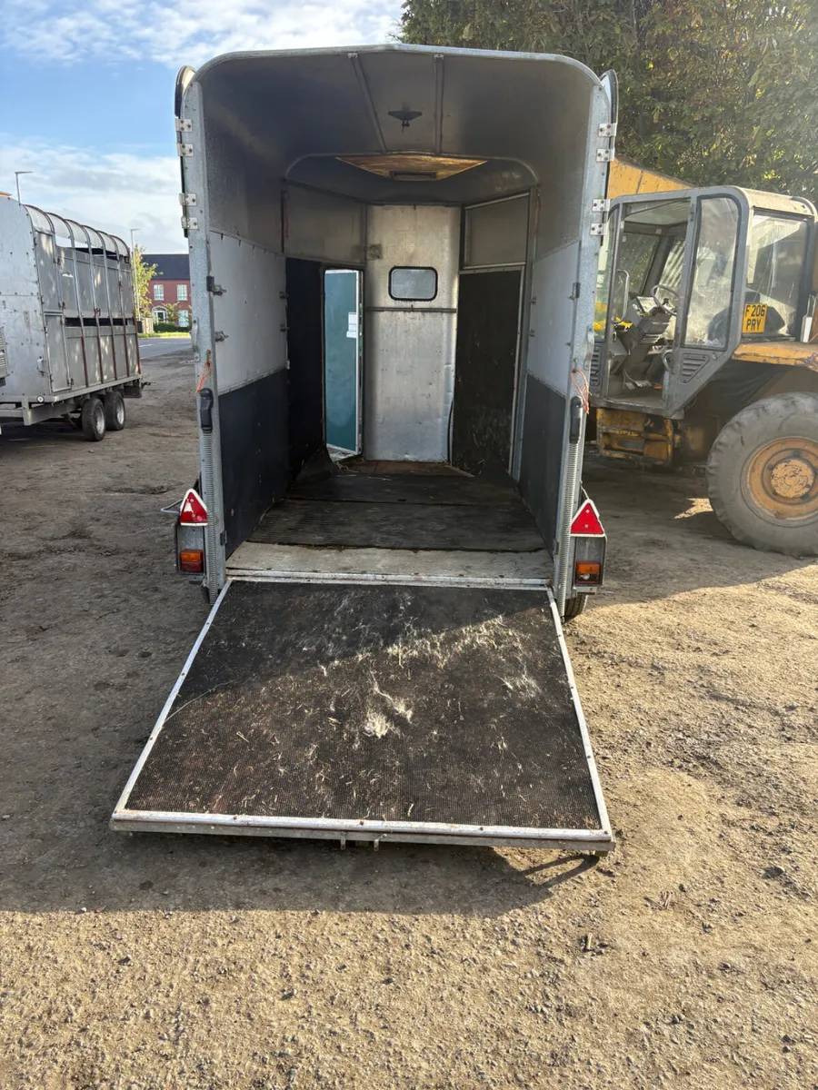 Ifor Williams 505 horse box - Image 3