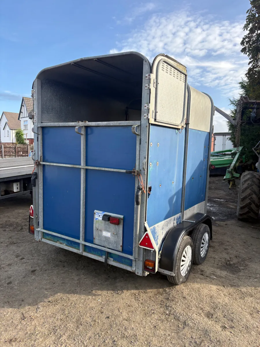 Ifor Williams 505 horse box - Image 2