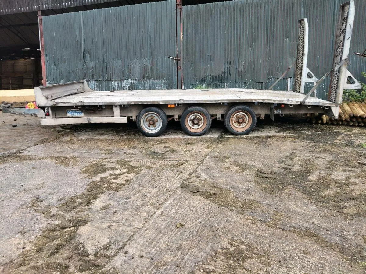 Dale kane 16ft plant trailer - Image 3