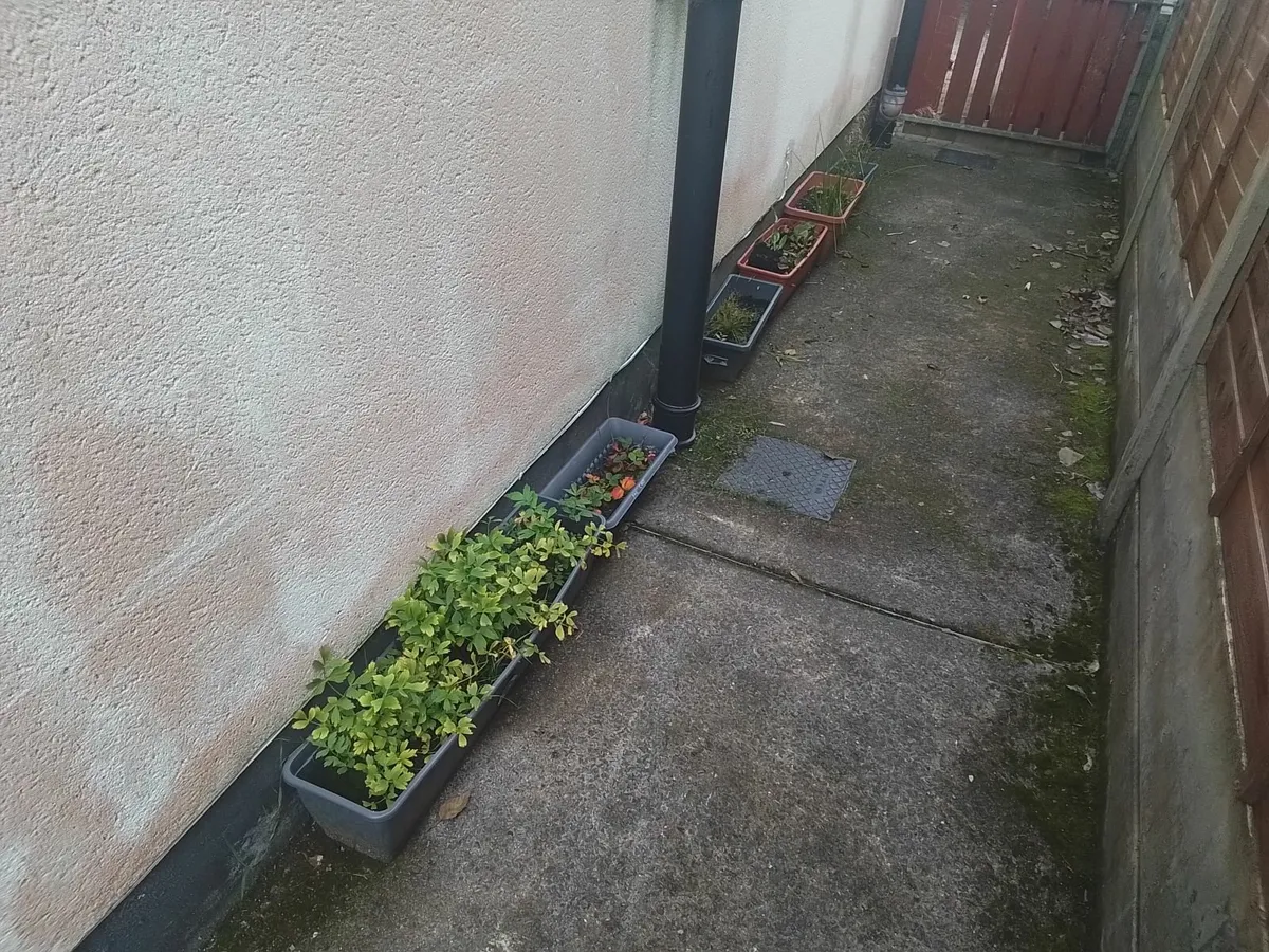 flowerpots and saucers - Image 3