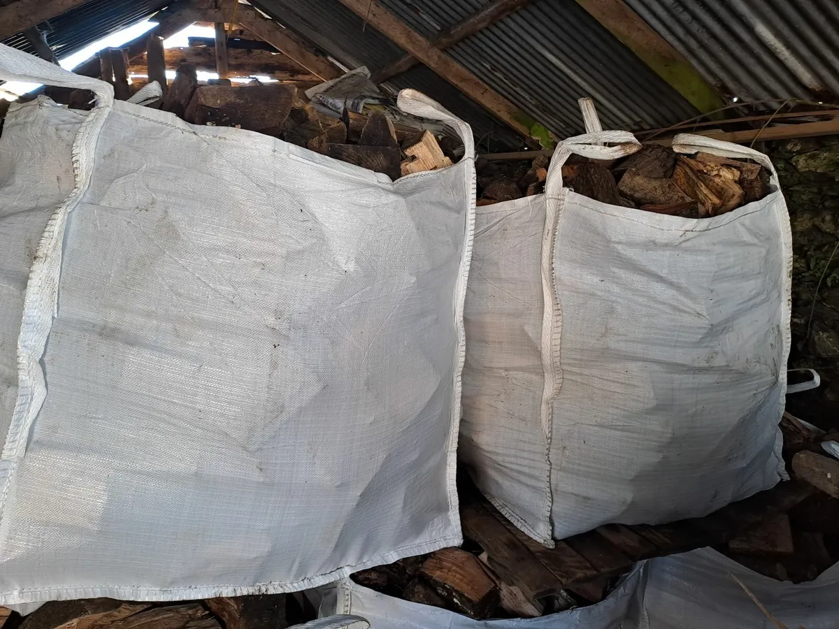 Hardwood firewood - Image 2