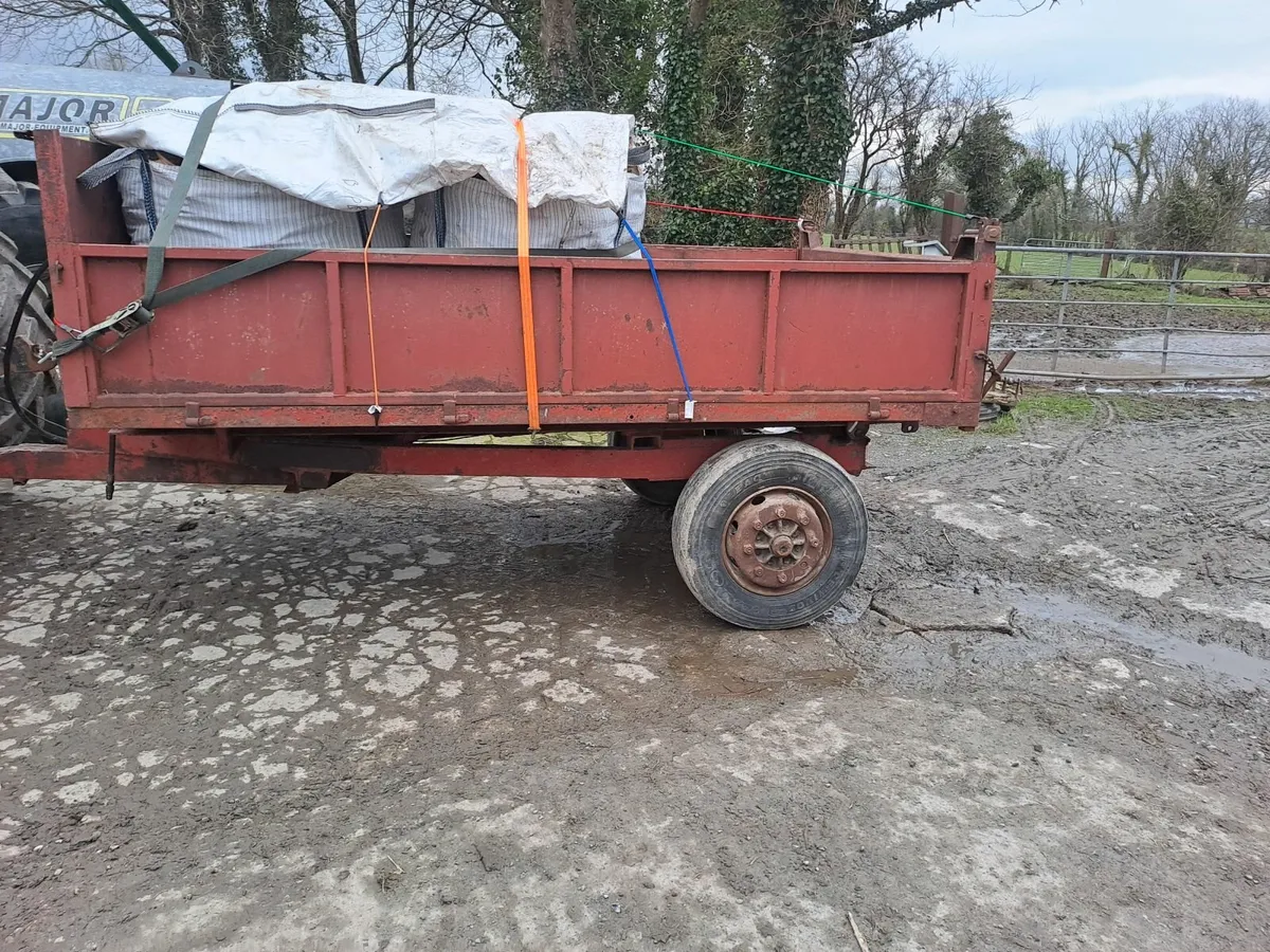 Hardwood firewood - Image 3