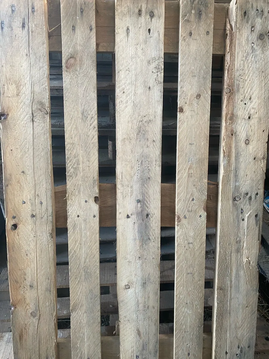 Quantity of Euro pallets - Image 2