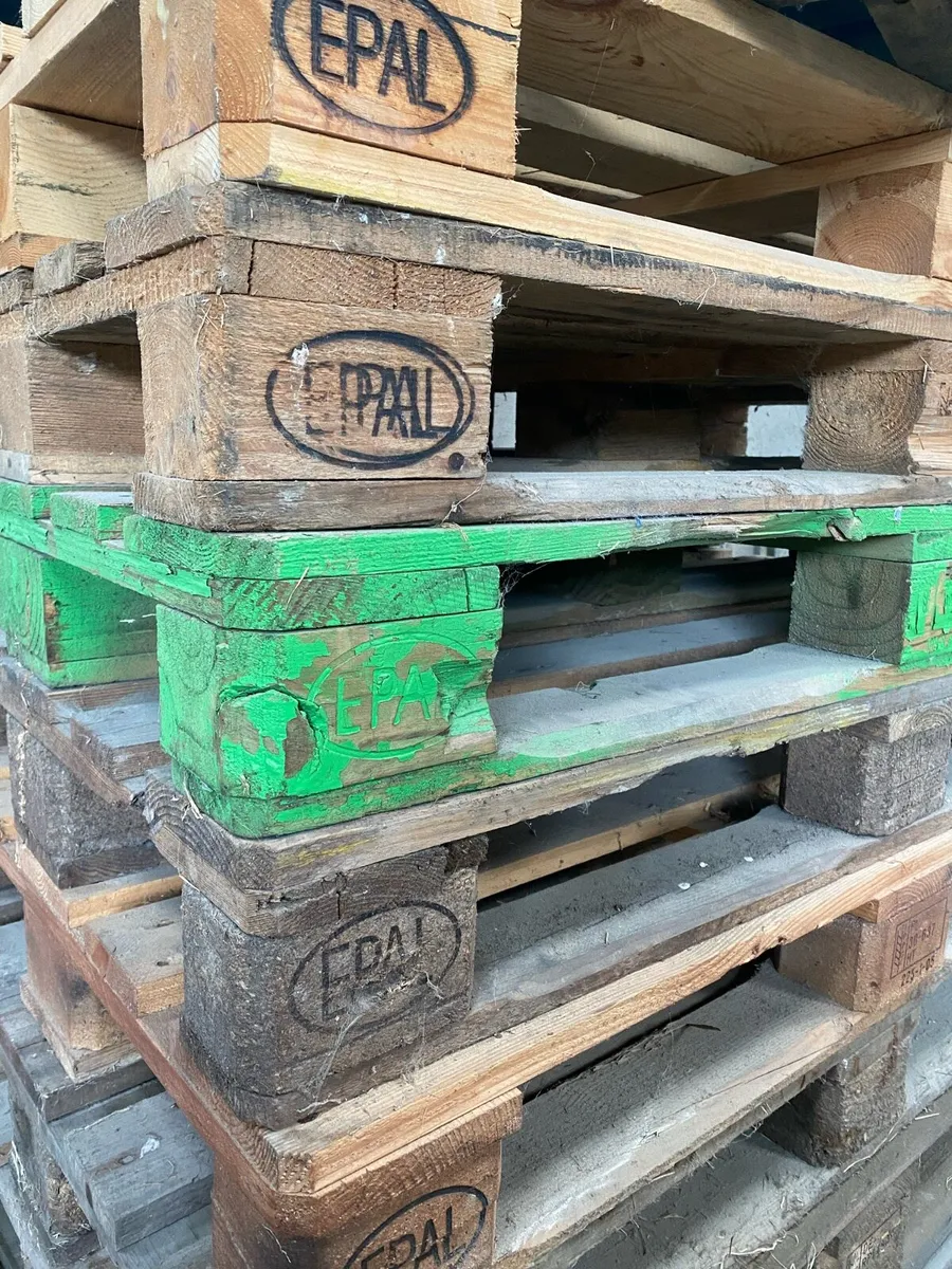 Quantity of Euro pallets - Image 1