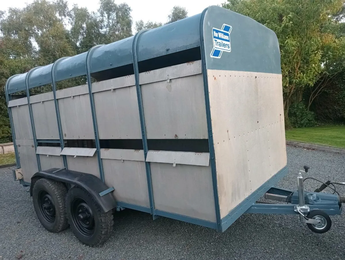 IFOR WILLIAMS TRAILER - Image 1