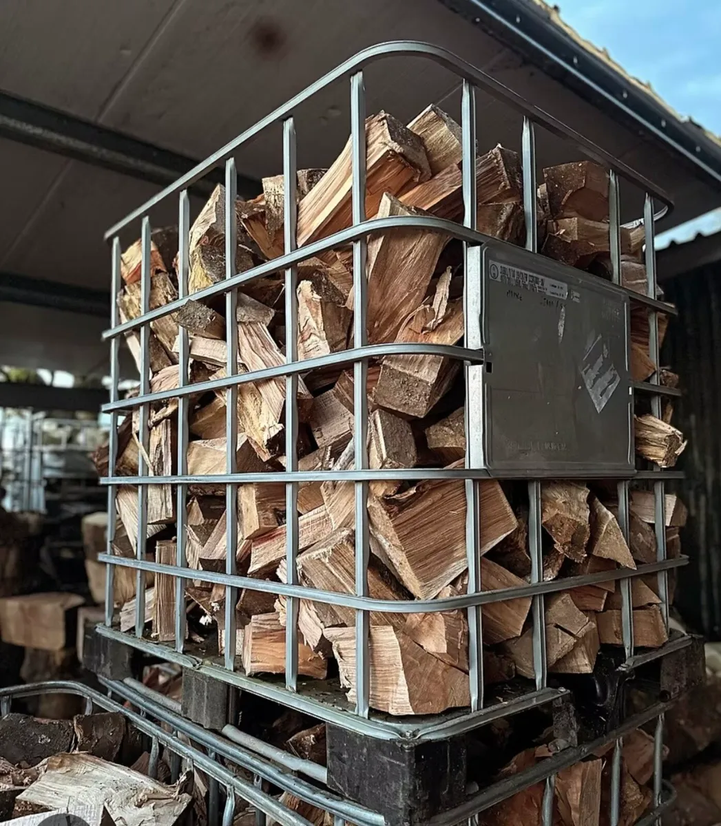Fire Wood Soft & Hard In Cages - Image 3