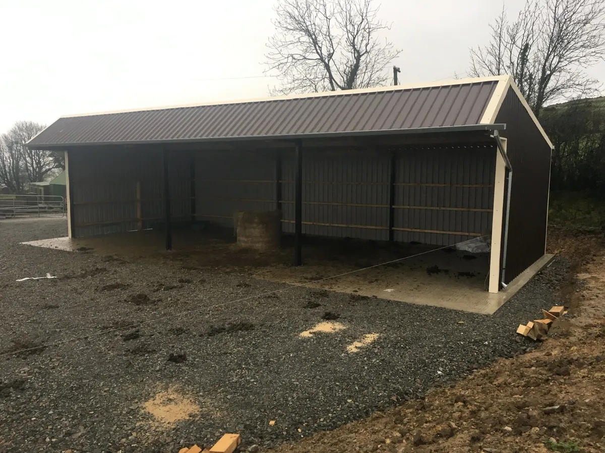 3 bay lean to ,,,sheeted to ground plus canopy - Image 4