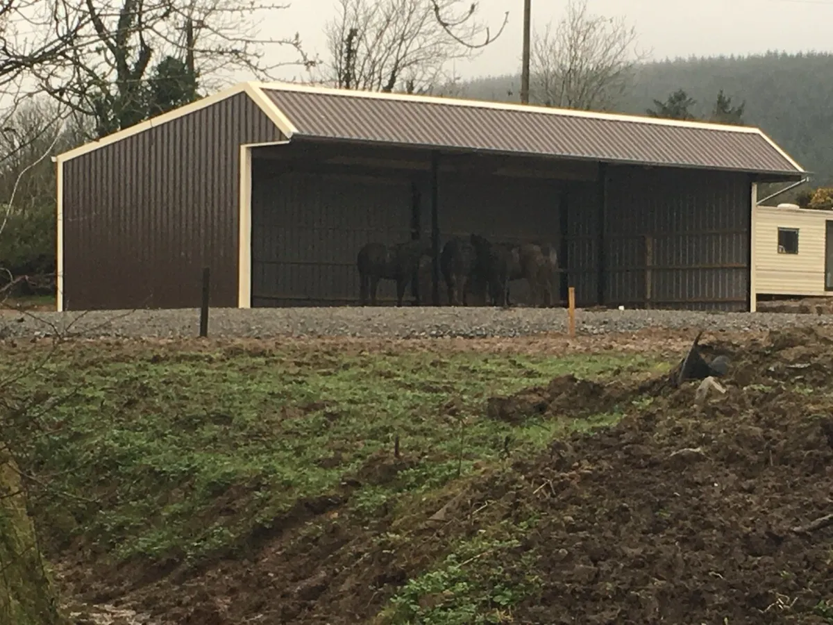 3 bay lean to ,,,sheeted to ground plus canopy - Image 1