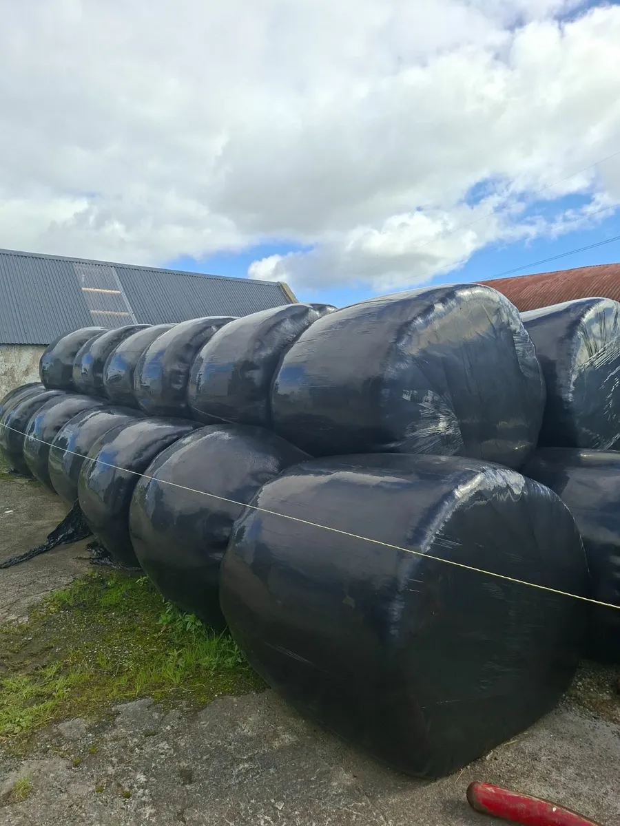 Silage Bales - Image 1