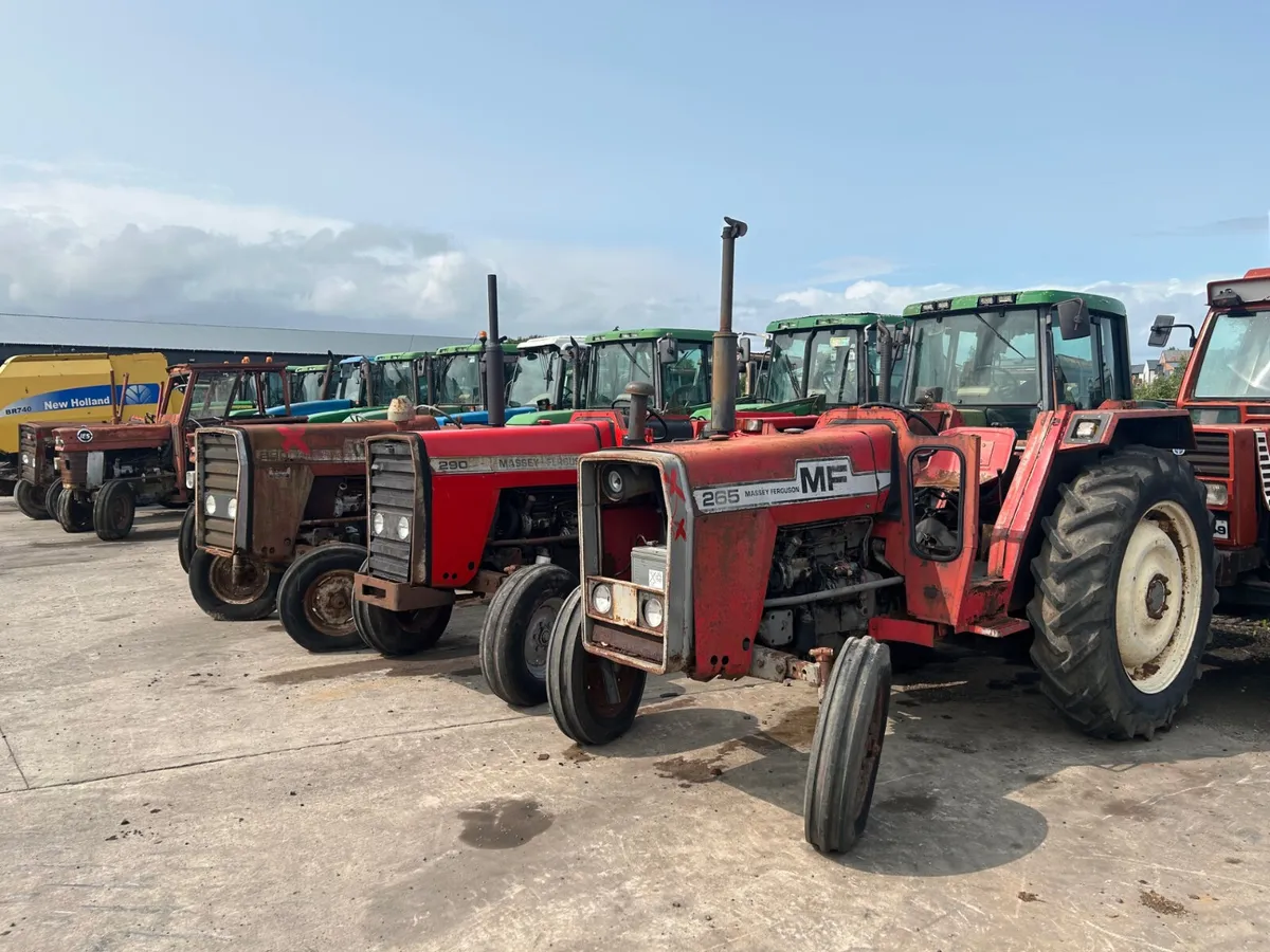 Wanted All Massey Ferguson Tractors 2wd & 4wd - Image 1