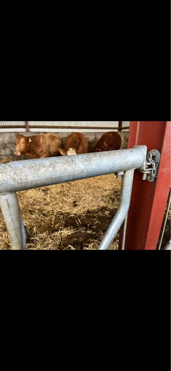 Gates and barriers - Image 4