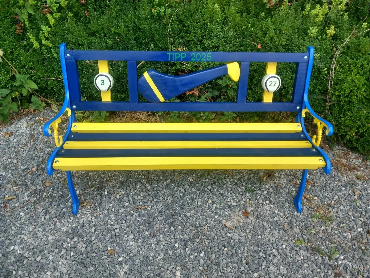 Tipperary hurling 2025 bench - Image 1