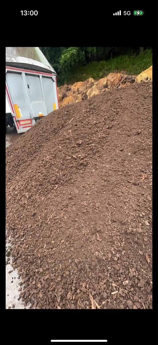 Moss for bedding cattle horses best quality - Image 4