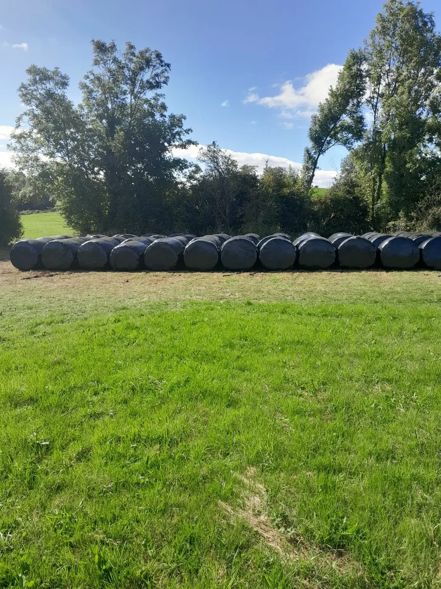 Silage Bales - Image 1
