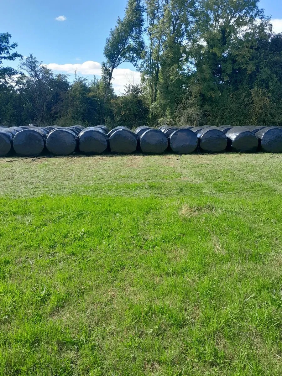 Silage Bales - Image 2