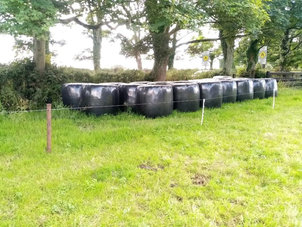 Baled silage - Image 1