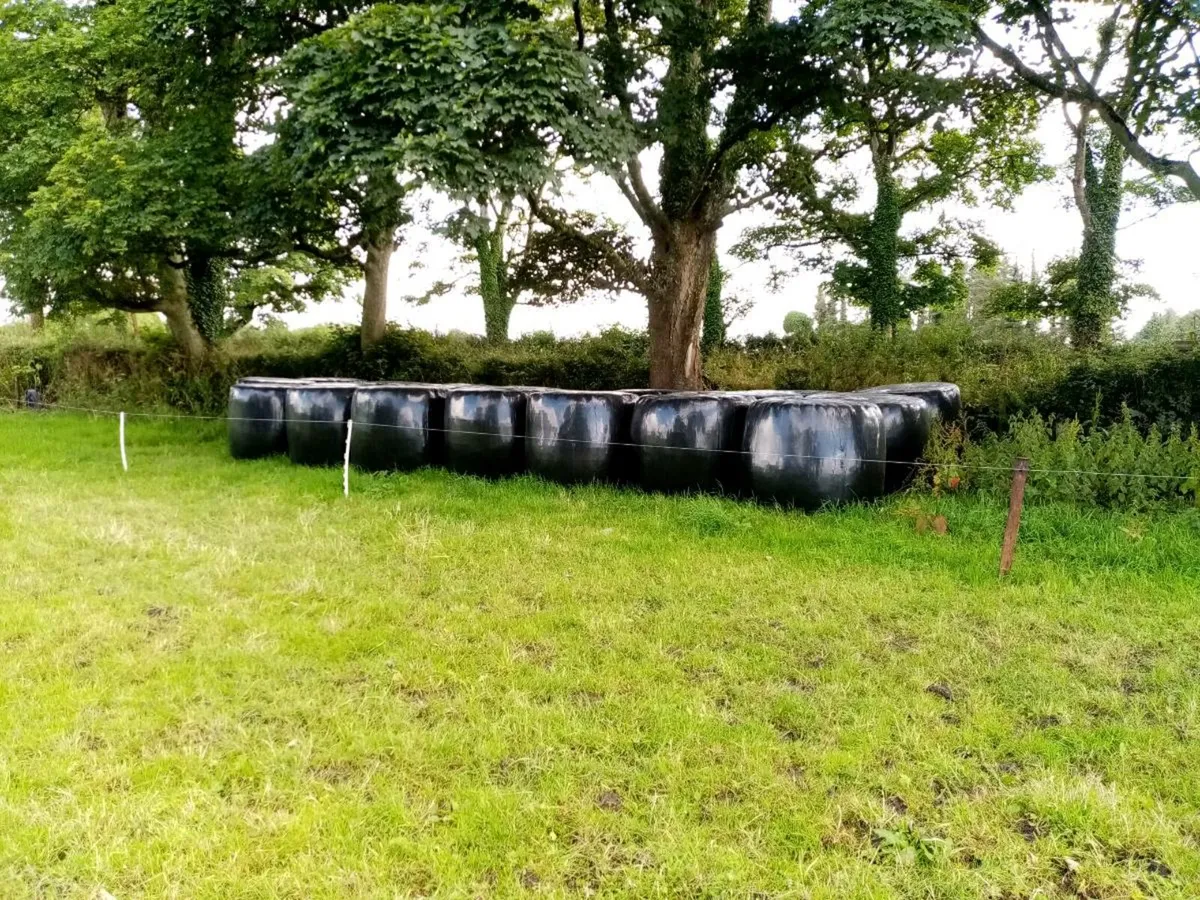 Baled silage - Image 2