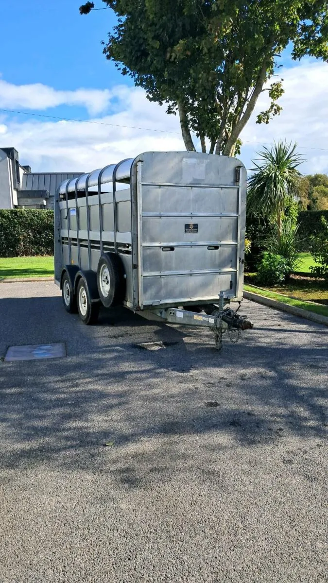 Ifor Williams cattle trailer - Image 2