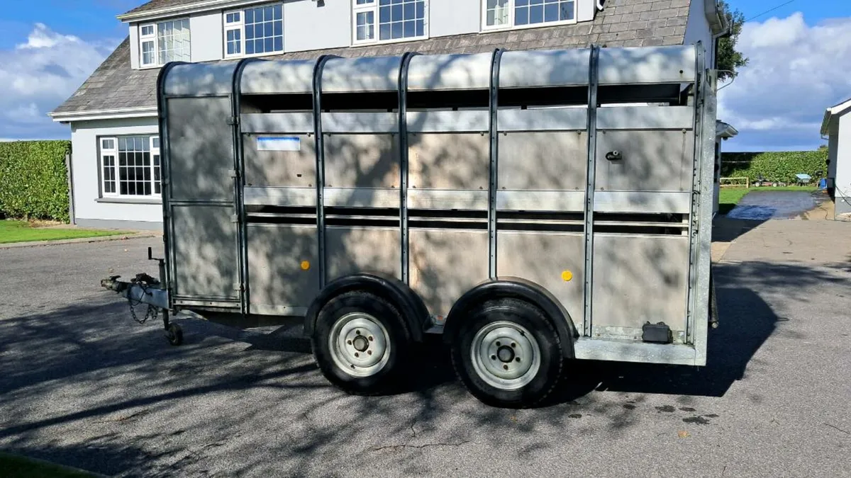 Ifor Williams cattle trailer - Image 3
