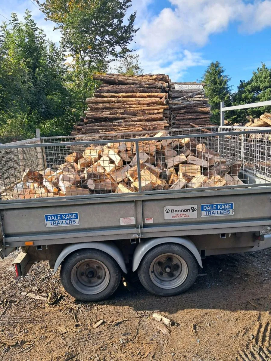 Firewood for sale covering all cork - Image 3