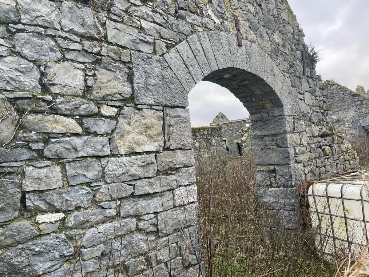 OLD STONE RECLAIMED DUBLIN CALP LIMESTONE - Image 1