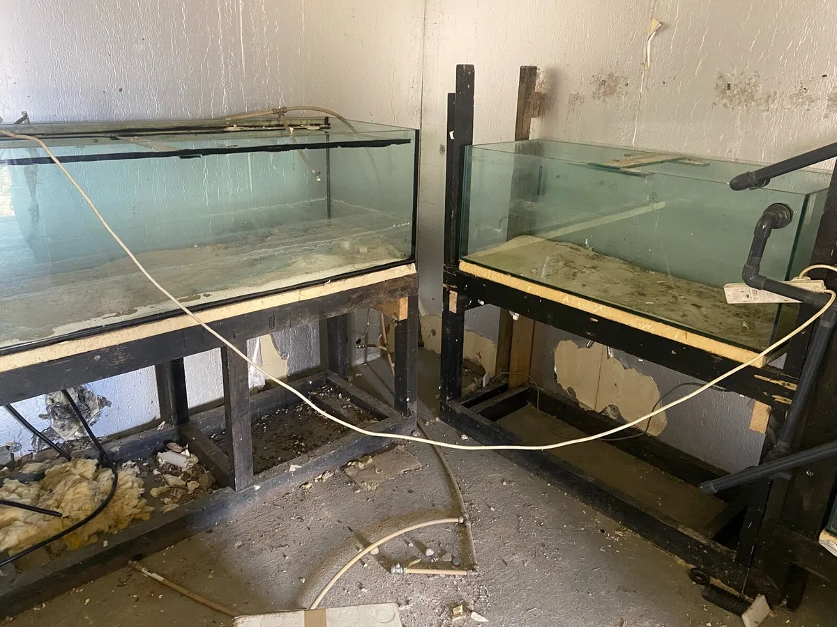 Aquariums - Image 3