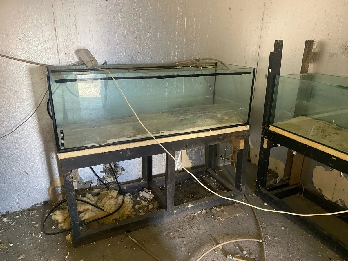 Aquariums - Image 4