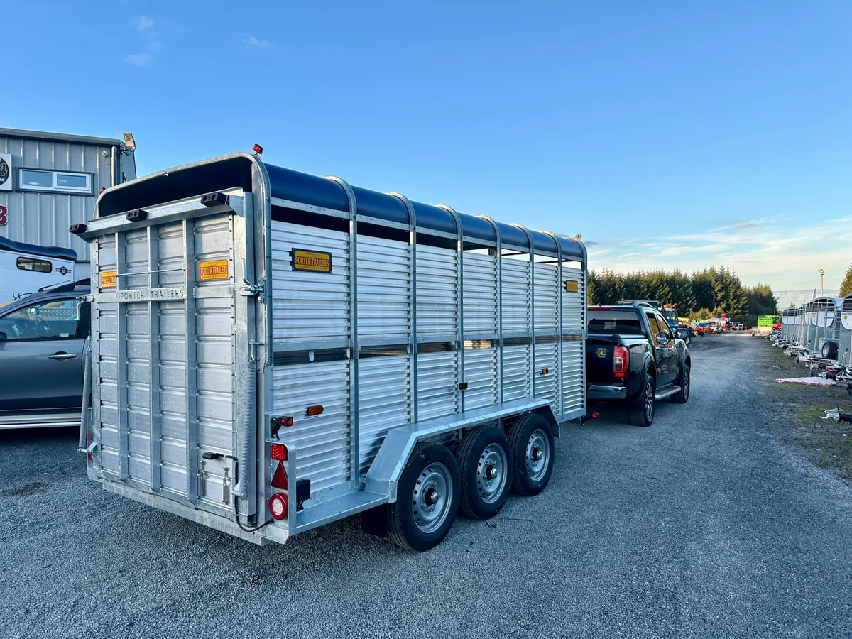 New Porter Cattle Trailer 14x6 - Image 4